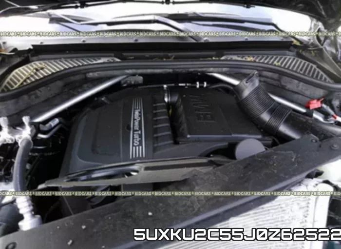 5UXKU2C55J0Z62522 фото 2