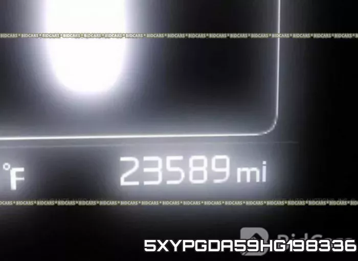 5XYPGDA59HG198336 фото 8
