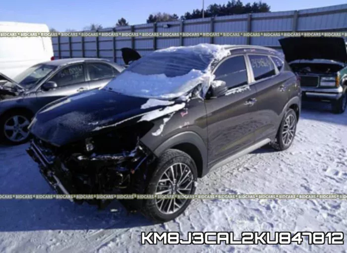 KM8J3CAL2KU847812 фото 3