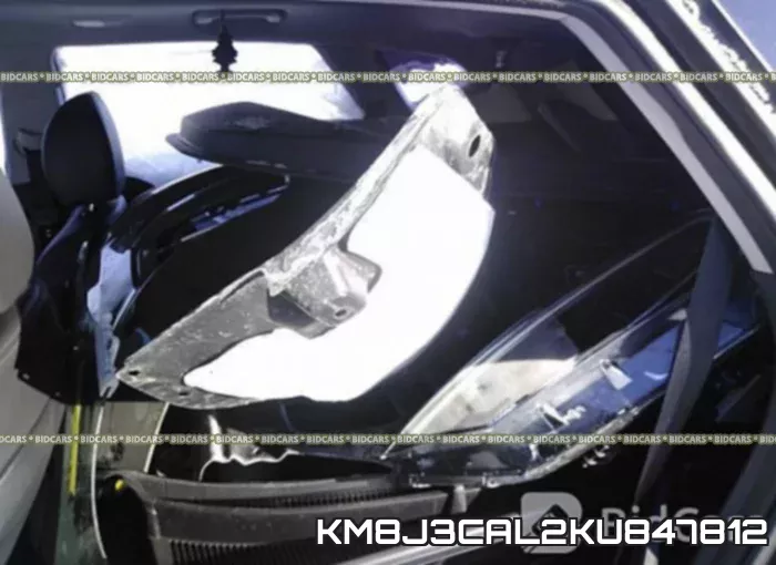 KM8J3CAL2KU847812 фото 9