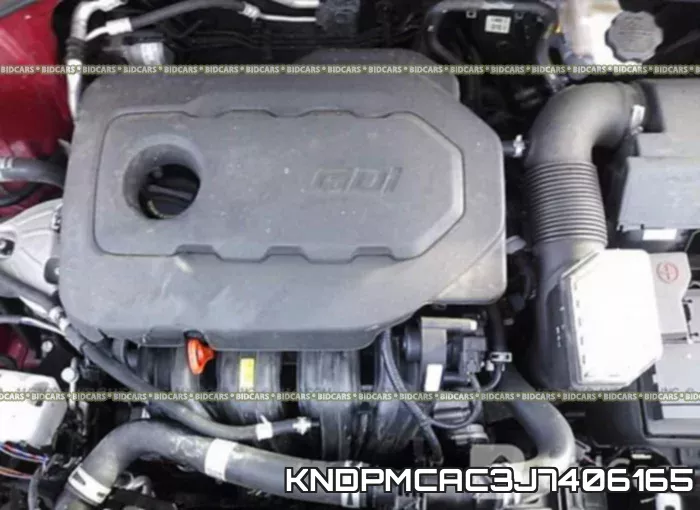 KNDPMCAC3J7406165 фото 10
