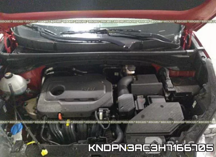KNDPN3AC3H7166705 фото 2