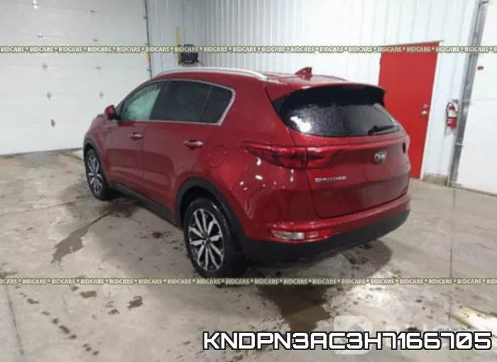 KNDPN3AC3H7166705 фото 4