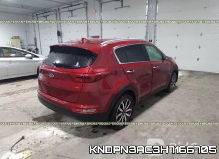 KNDPN3AC3H7166705 фото 5