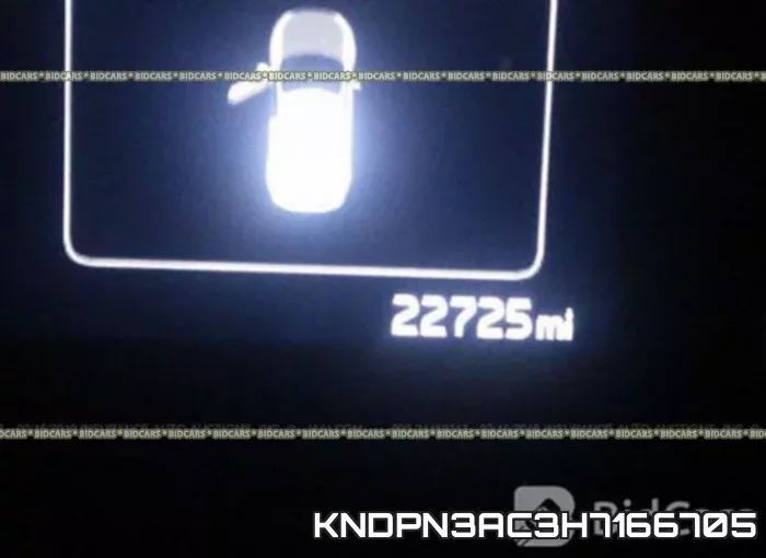KNDPN3AC3H7166705 фото 8