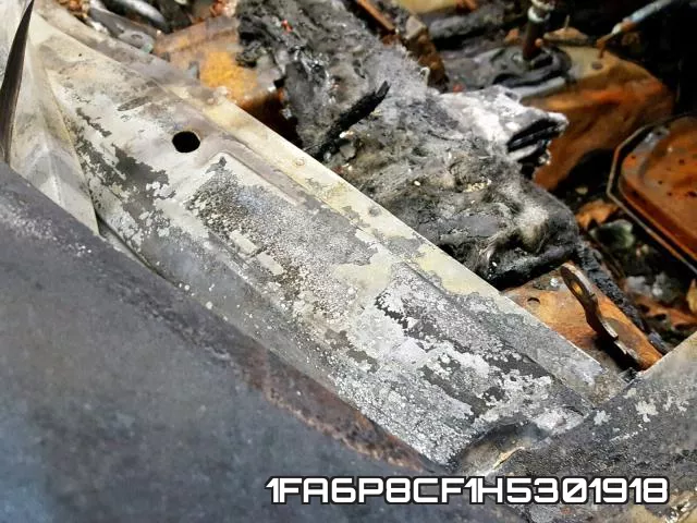 1FA6P8CF1H5301918 фото 2
