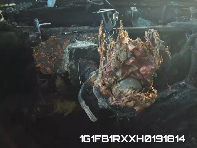 1G1FB1RXXH0191814 фото 9