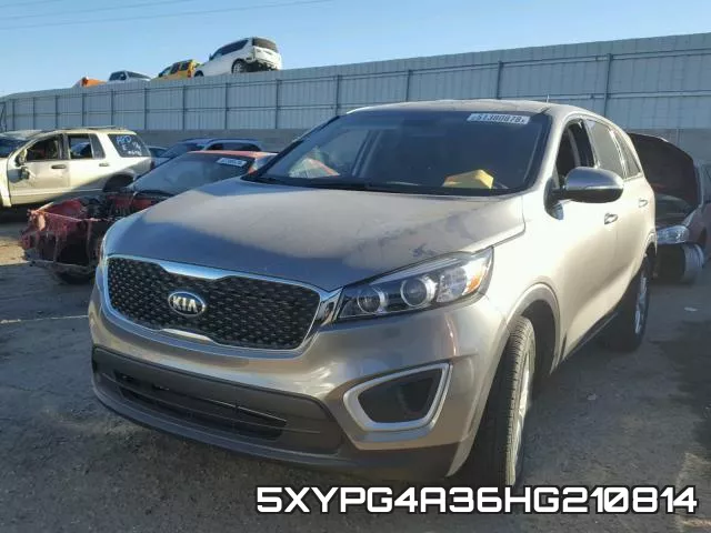 5XYPG4A36HG210814 фото 3