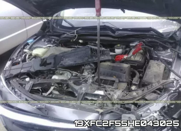 19XFC2F55HE043025 фото 2