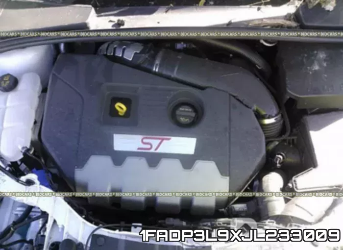 1FADP3L9XJL233009 фото 2