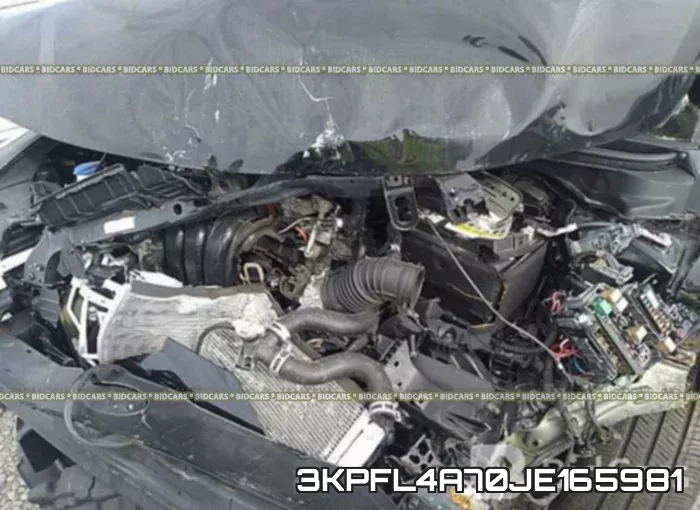 3KPFL4A70JE165981 фото 2