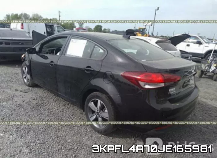 3KPFL4A70JE165981 фото 3