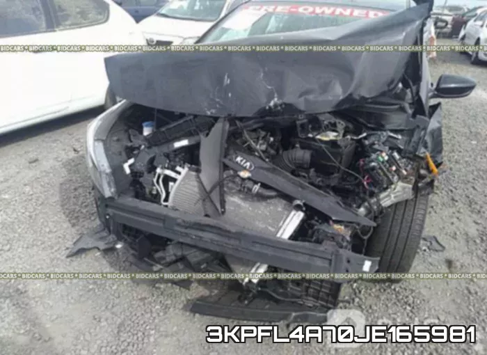 3KPFL4A70JE165981 фото 6