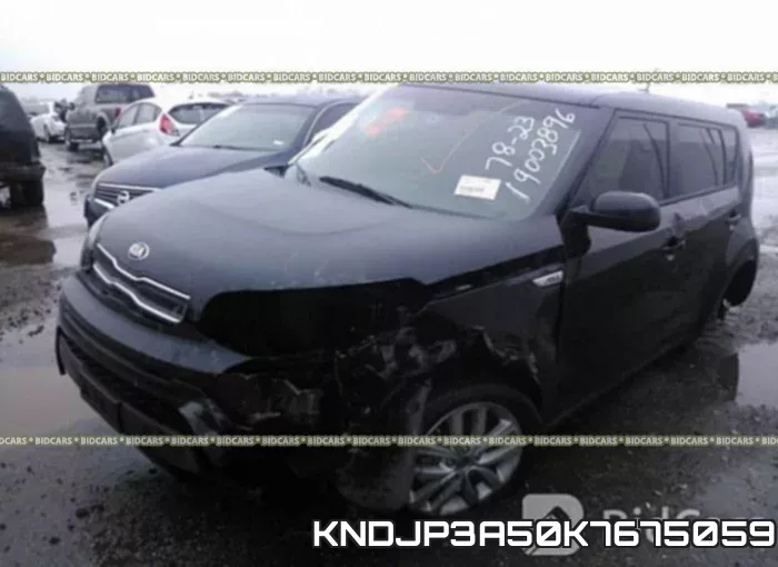 KNDJP3A50K7675059 фото 3