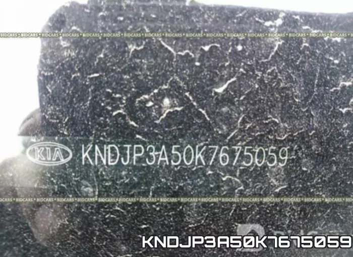 KNDJP3A50K7675059 фото 10