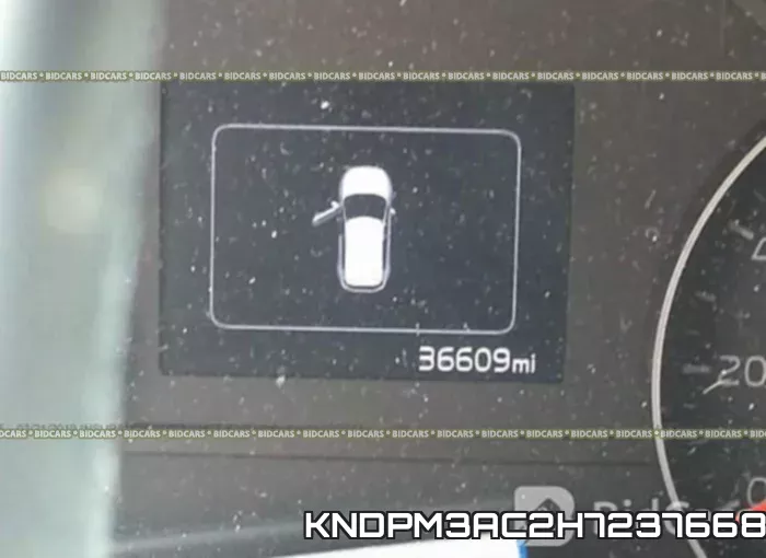 KNDPM3AC2H7237668 фото 8