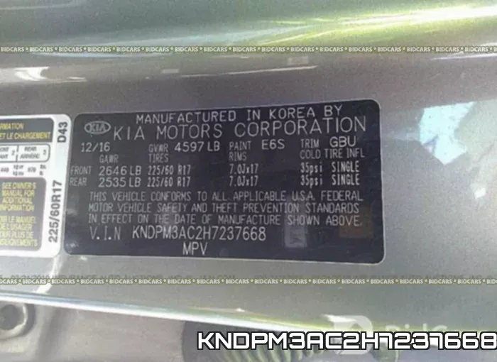 KNDPM3AC2H7237668 фото 10