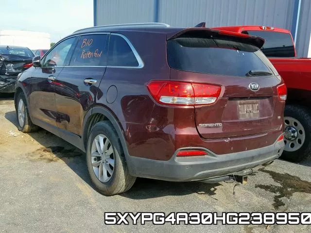 5XYPG4A30HG238950 фото 4