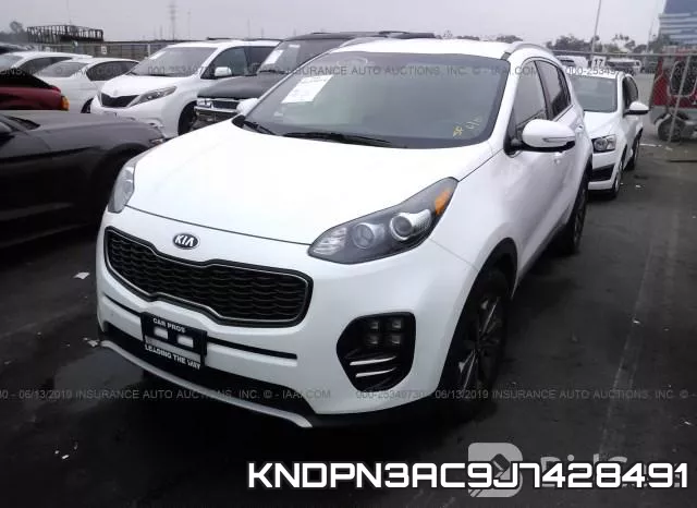 KNDPN3AC9J7428491 фото 3