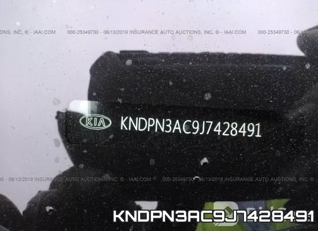 KNDPN3AC9J7428491 фото 10