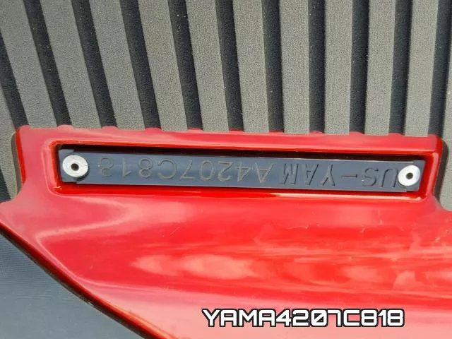 YAMA4207C818 фото 2