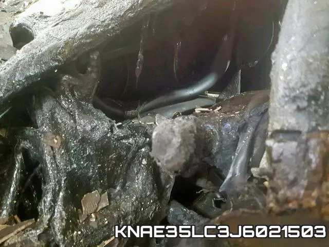 KNAE35LC3J6021503 фото 9