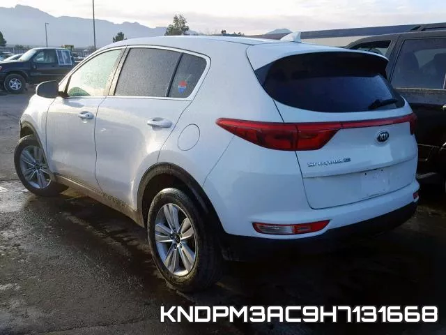 KNDPM3AC9H7131668 фото 4