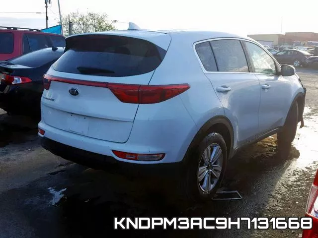 KNDPM3AC9H7131668 фото 5