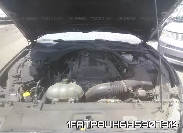 1FATP8UH6H5307314 фото 2