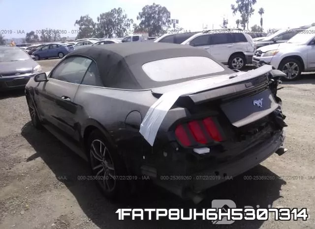 1FATP8UH6H5307314 фото 4