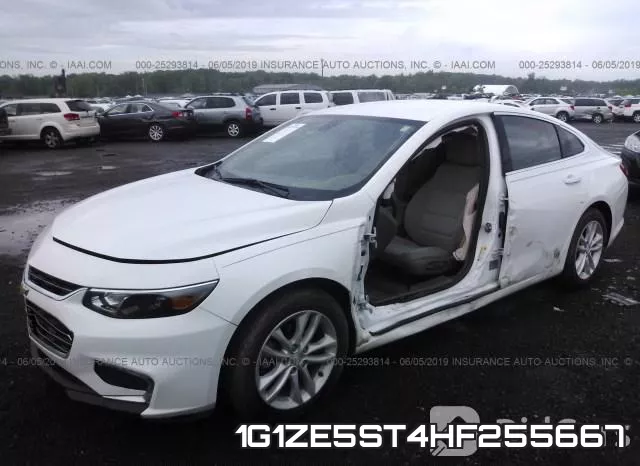 1G1ZE5ST4HF255667 фото 7