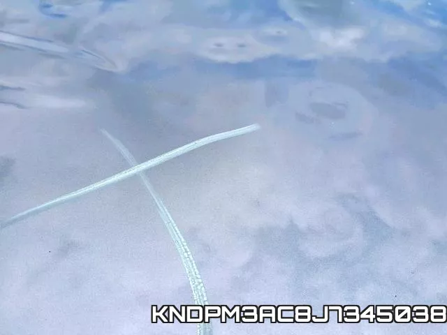 KNDPM3AC8J7345038 фото 9