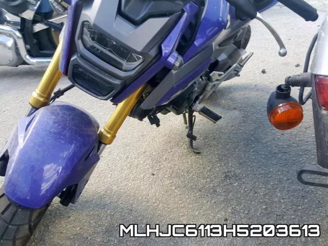 MLHJC6113H5203613 фото 2