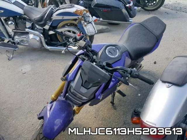 MLHJC6113H5203613 фото 3