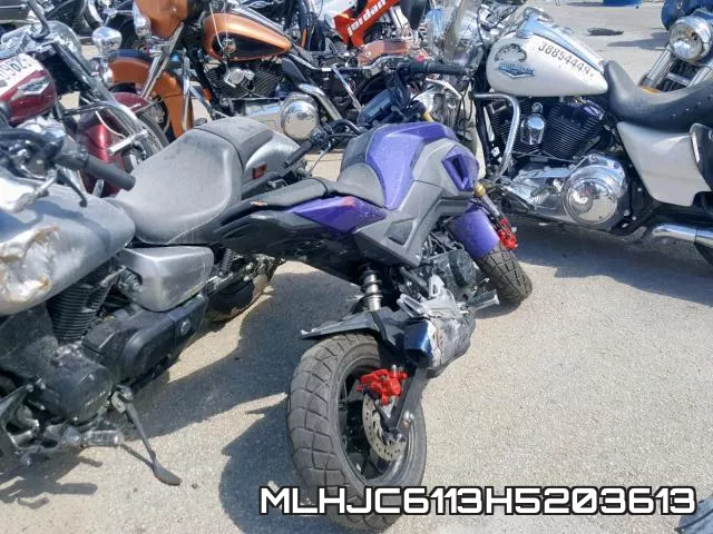 MLHJC6113H5203613 фото 5