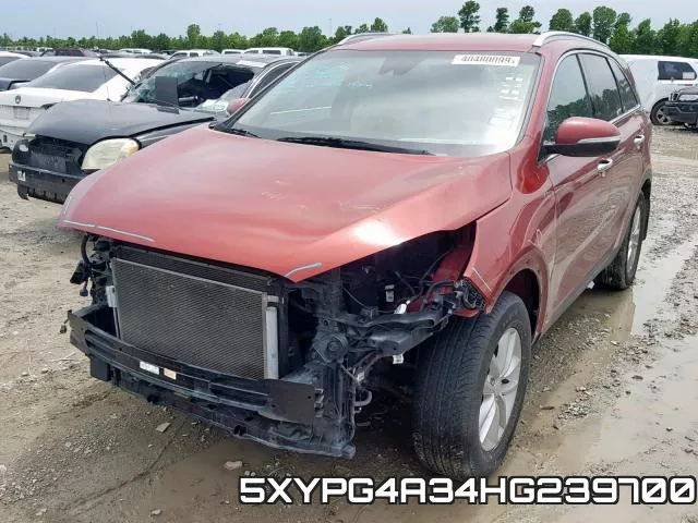 5XYPG4A34HG239700 фото 3