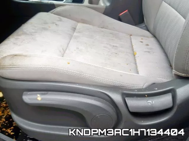 KNDPM3AC1H7134404 фото 6