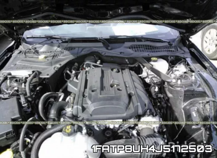 1FATP8UH4J5172503 фото 2