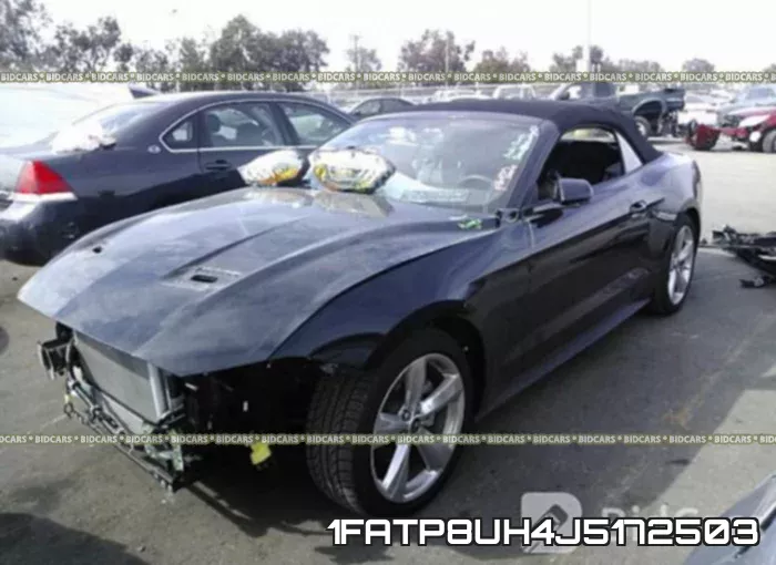 1FATP8UH4J5172503 фото 3