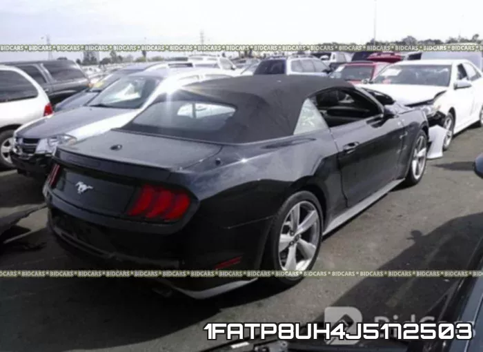 1FATP8UH4J5172503 фото 5