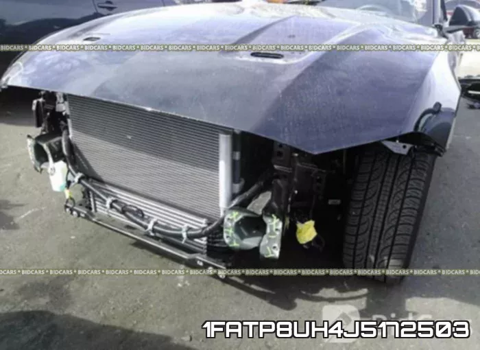 1FATP8UH4J5172503 фото 7