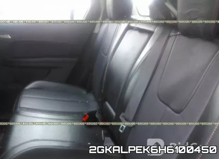 2GKALPEK6H6100450 фото 9