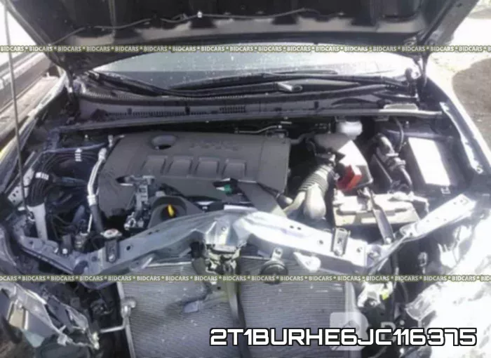 2T1BURHE6JC116375 фото 2