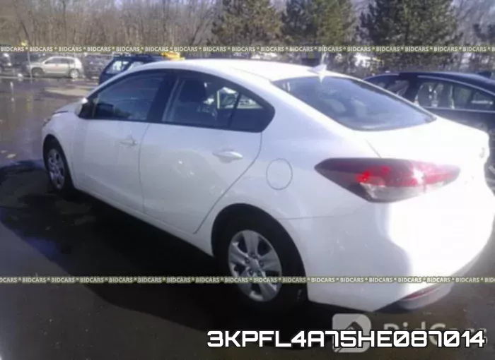 3KPFL4A75HE087014 фото 4
