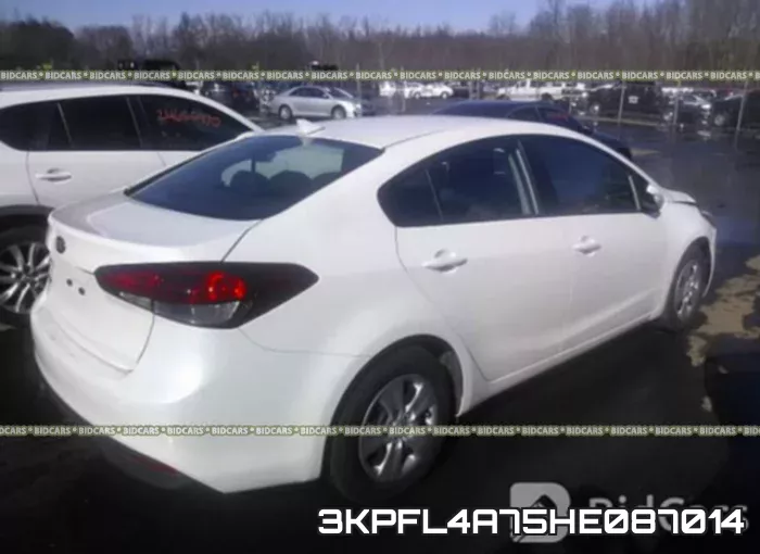 3KPFL4A75HE087014 фото 5