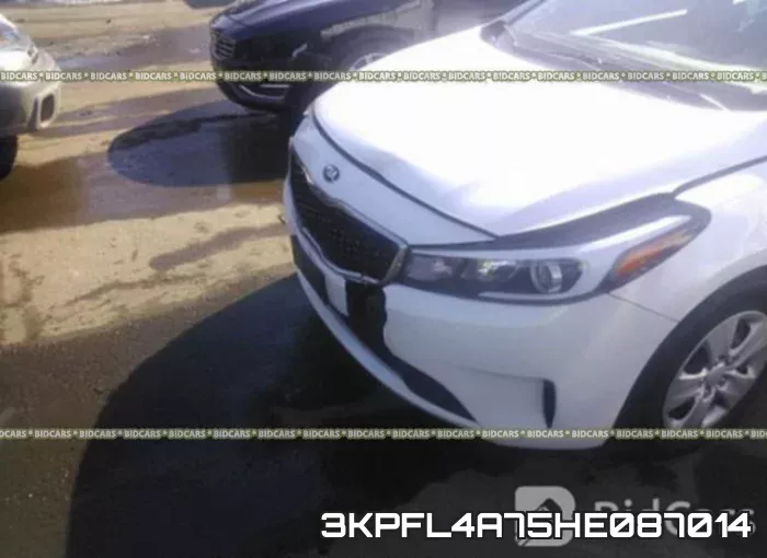 3KPFL4A75HE087014 фото 7