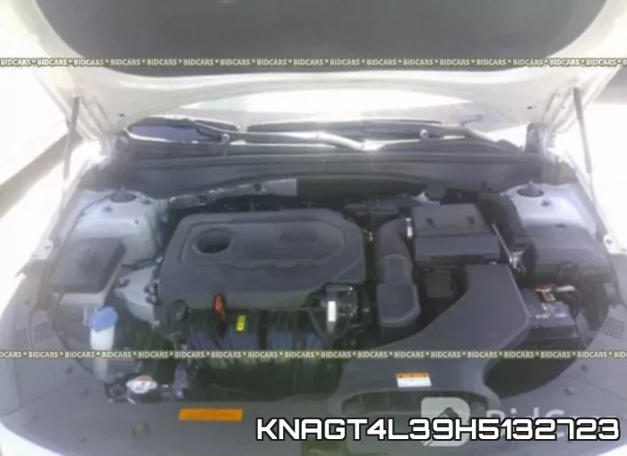 KNAGT4L39H5132723 фото 2