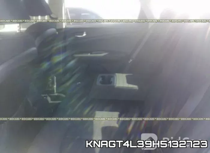KNAGT4L39H5132723 фото 9