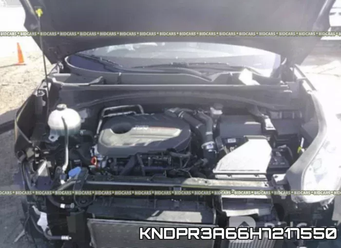 KNDPR3A66H7217550 фото 2