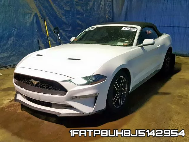 1FATP8UH8J5142954 фото 3